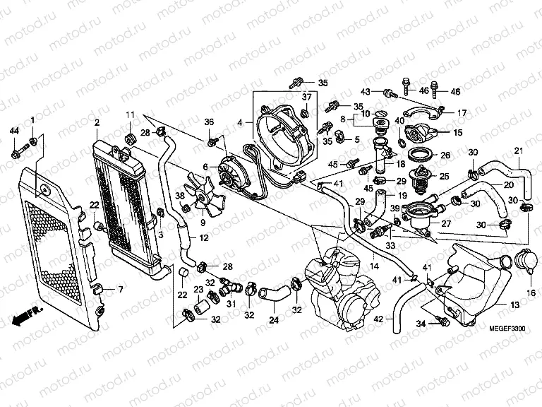 F-33 ​​RADIATOR