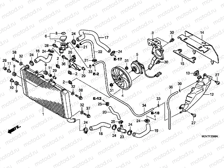 F-33 ​​RADIATOR