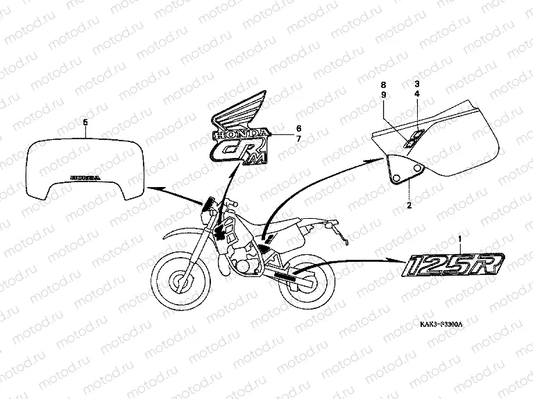 F-33 ​​STRIP / SIGNAL (1)