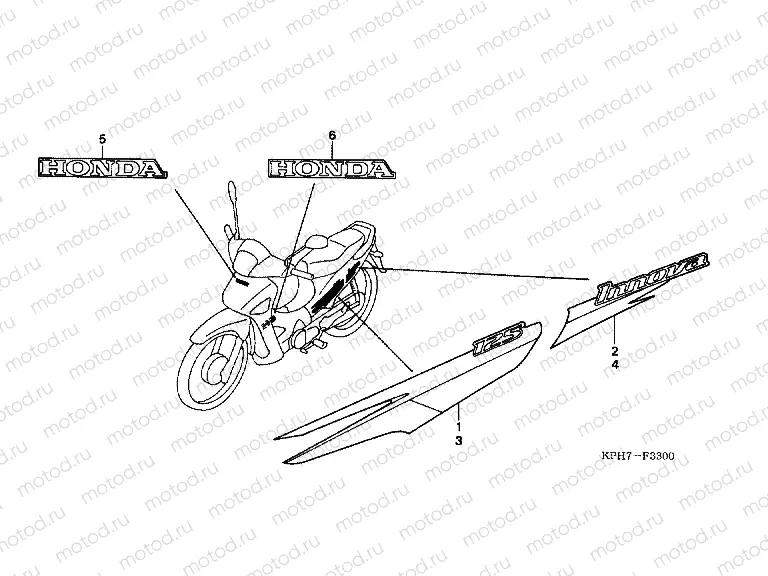 F-33 ​​STRIP / SIGNAL (ANF1253 / 5/6)