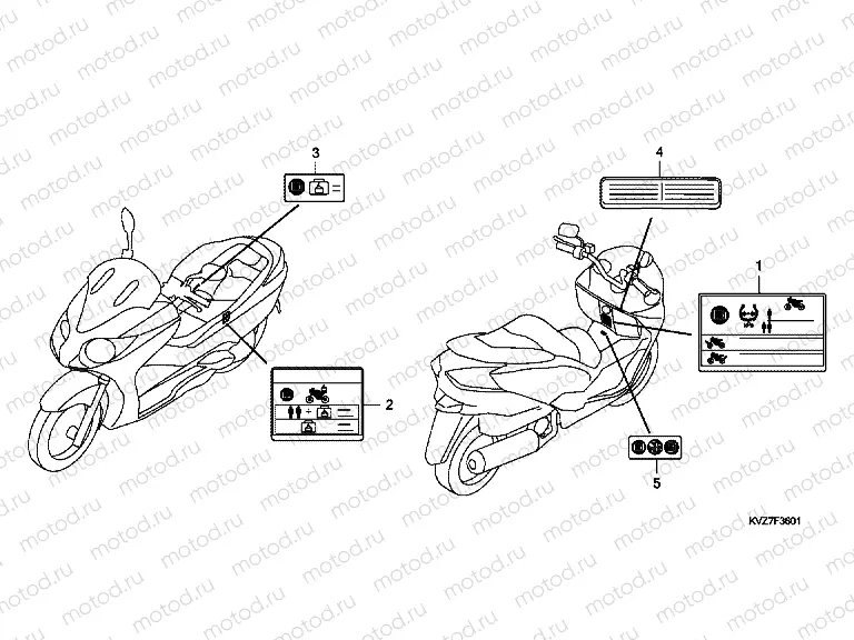 F-36-1 WARNING LABEL (ED / M, F / M)