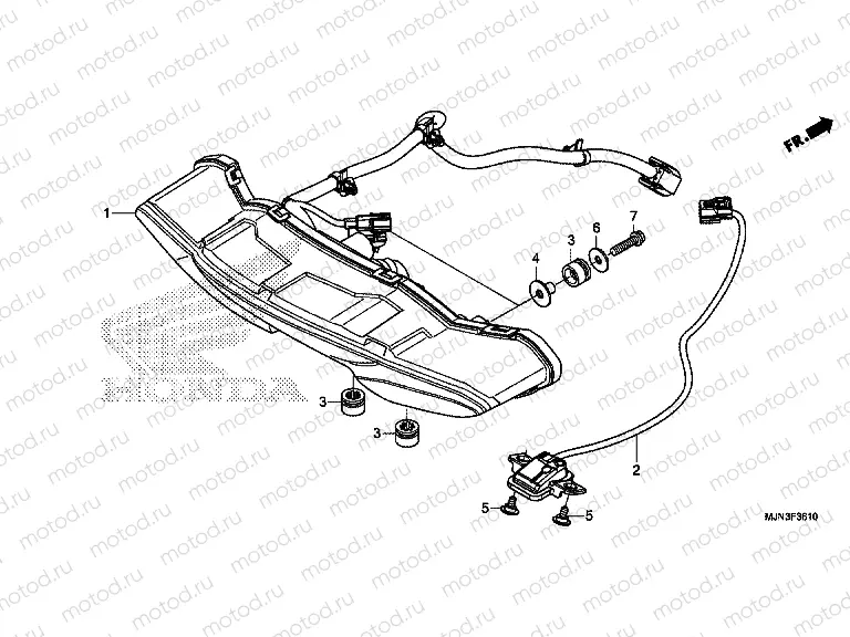 F-36-10 REAR COMBINATION LAMP