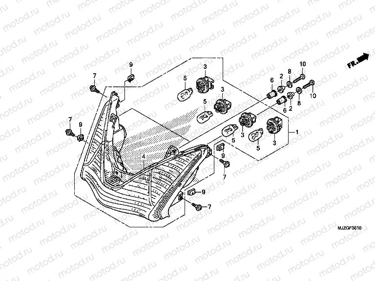 F-36-10 REAR COMBINATION LIGHT