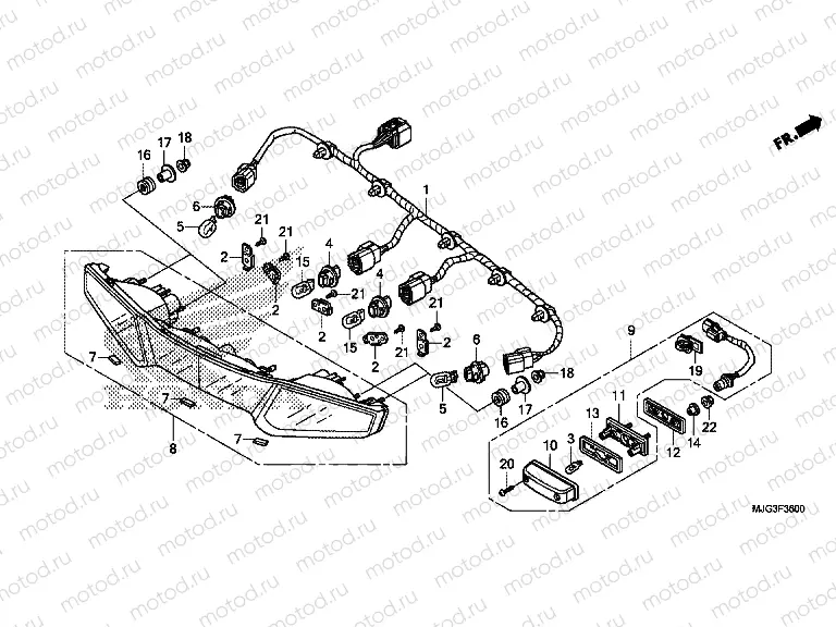 F-36 REAR COMBINATION LAMP