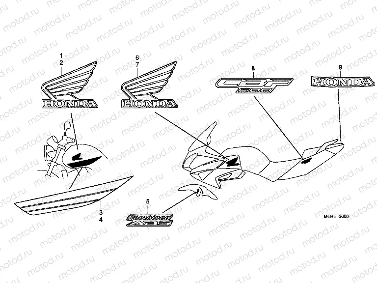 F-36 SIGN / STRIP