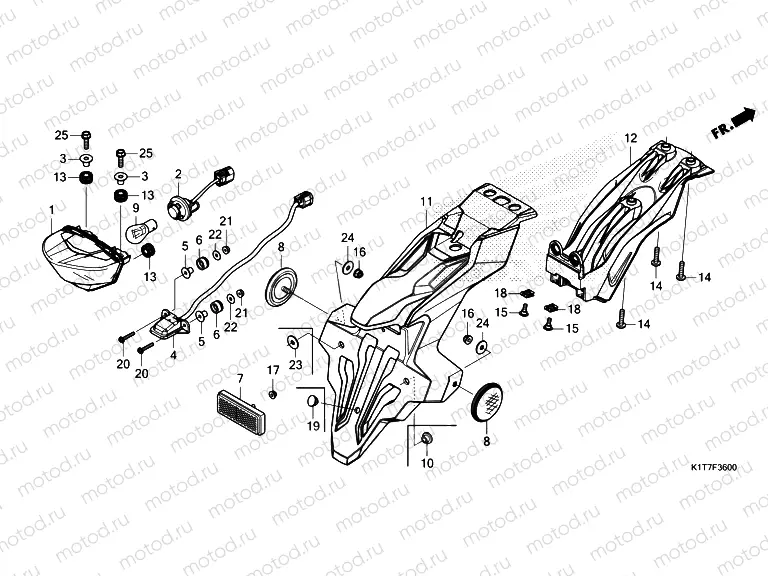 F-36 TAILLIGHT/LICENSE LIGHT
