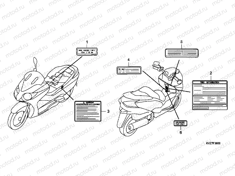 F-36 WARNING LABEL (ED, F)