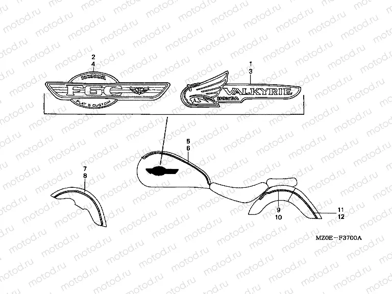 F-37 STRIP / SIGNAL