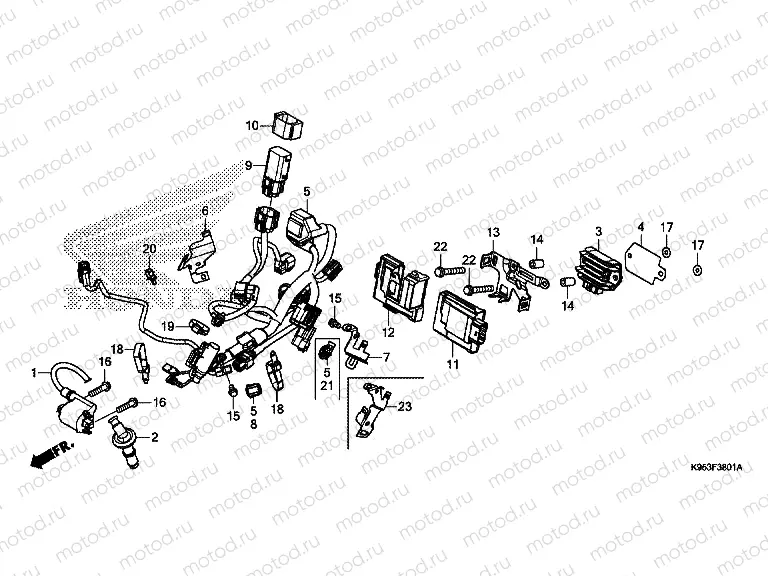 F-38-1 WIRE HARNESS (CRF250RK,L/CRF250RXK,L)
