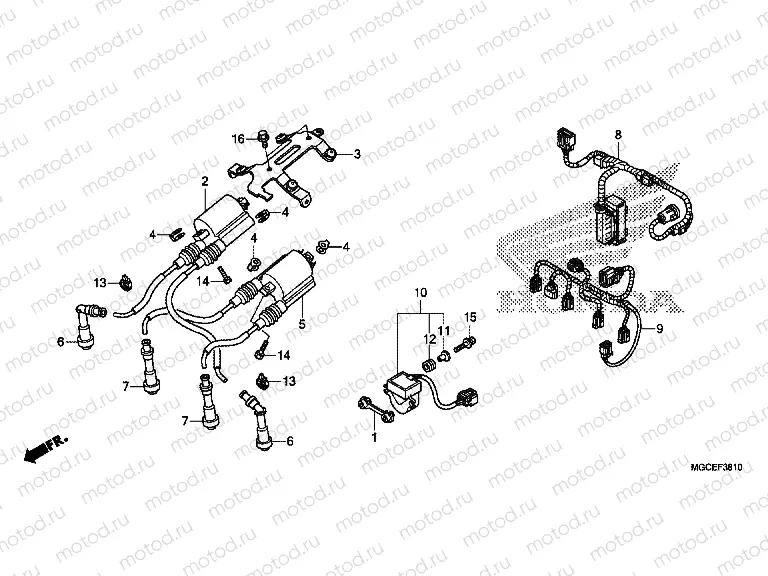 F-38-10 ADDITIONAL WIRING HARNESS / IGNITION COIL