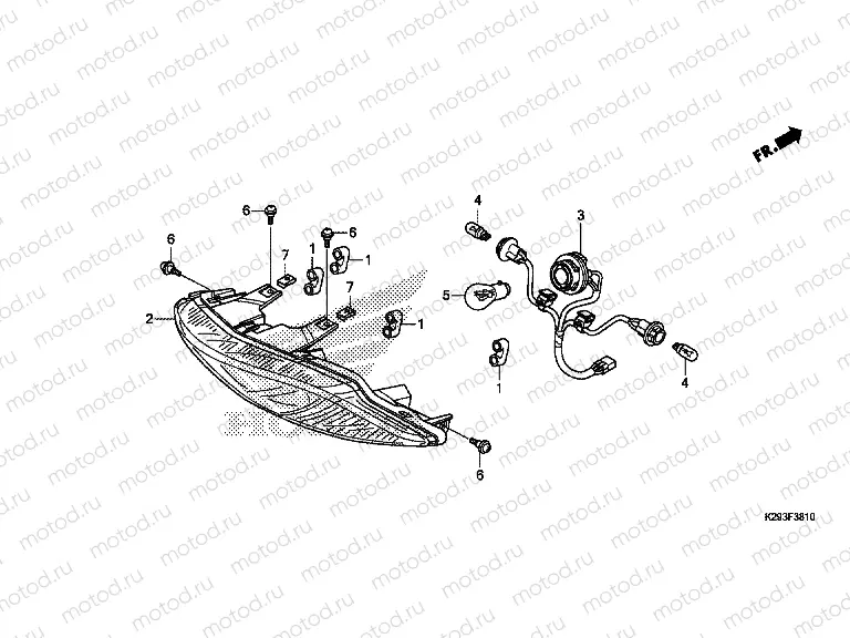 F-38-10 REAR COMBINATION LAMP