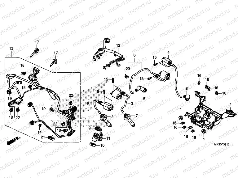 F-38-10 SUB HARNESS & IGNITION COIL