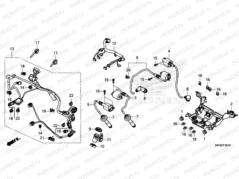 F-38-10 SUB HARNESS & IGNITION COIL