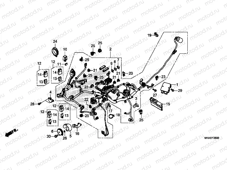 F-38 WIRE HARNESS
