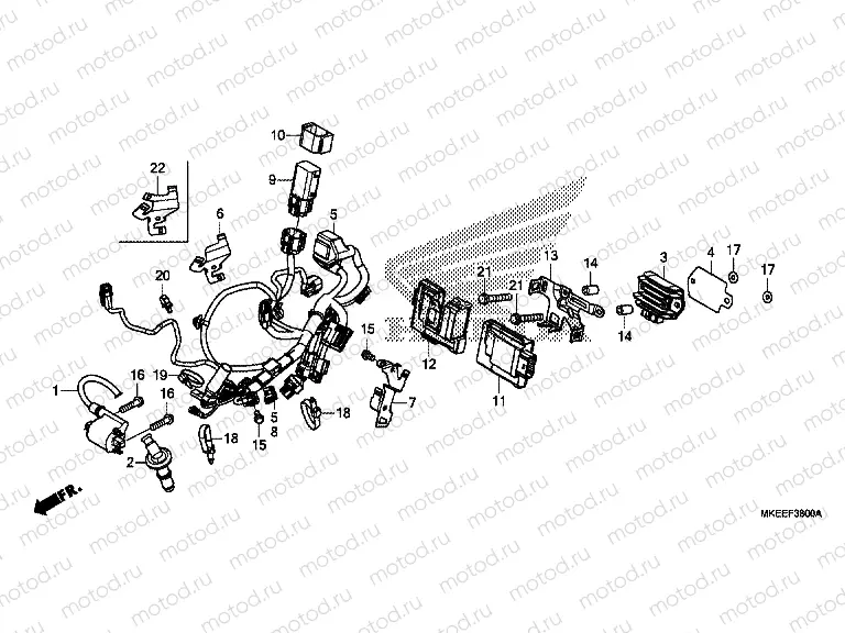 F-38 WIRE HARNESS