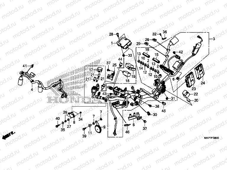 F-38 WIRE HARNESS