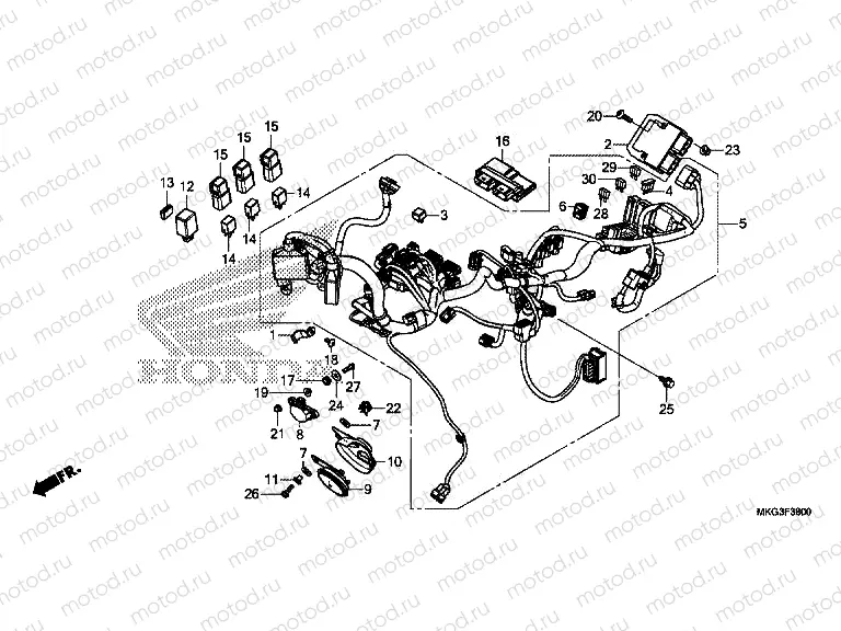 F-38 WIRE HARNESS