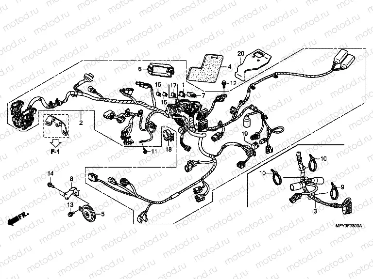 F-38 WIRING HARNESS / HORN