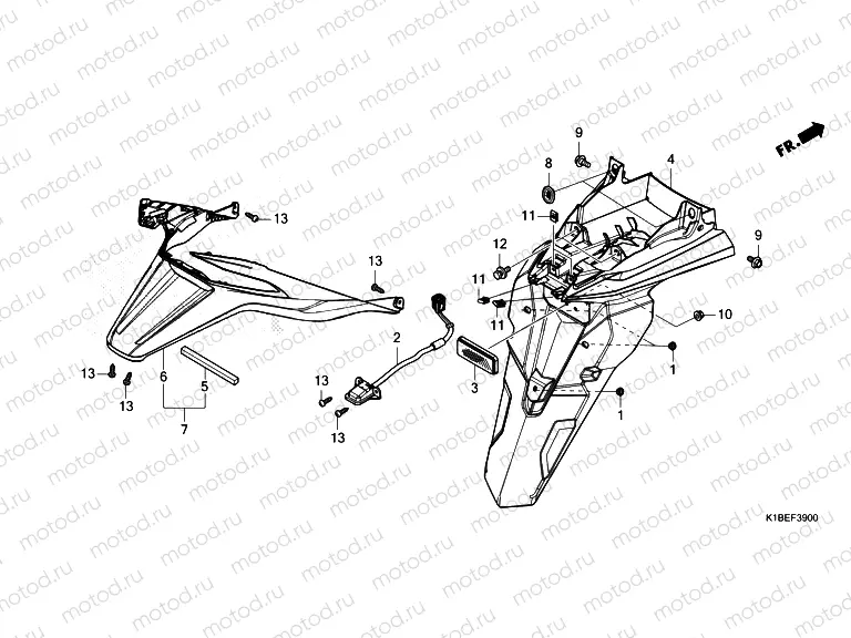 F-39 REAR FENDER/LICENSE LIGHT
