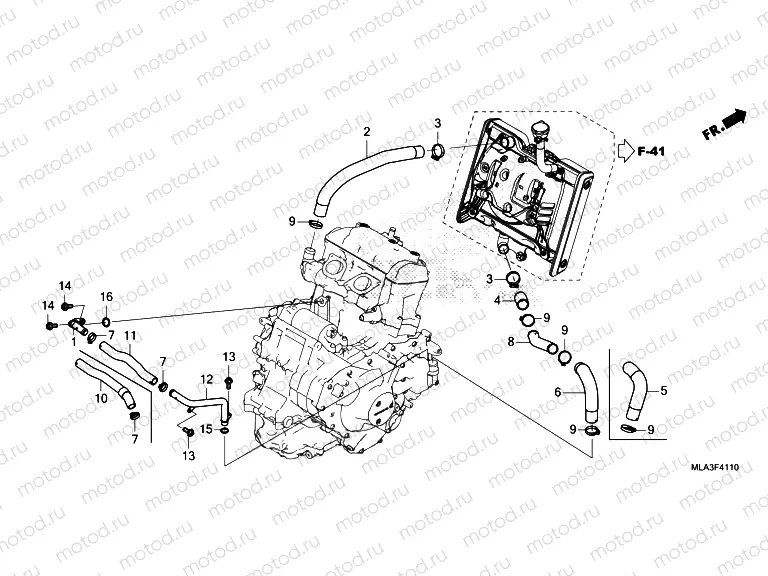 F-41-10 RADIATOR HOSE & WATER PIPE