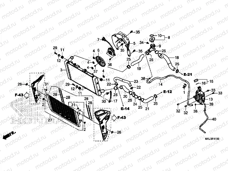 F-41 RADIATOR