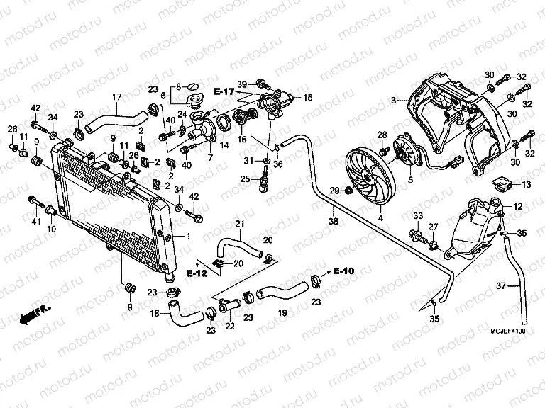 F-41 RADIATOR
