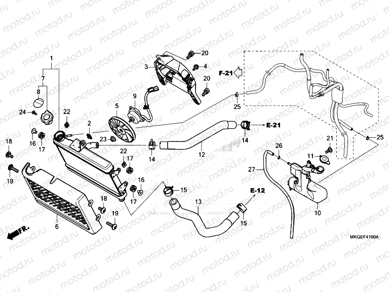 F-41 RADIATOR