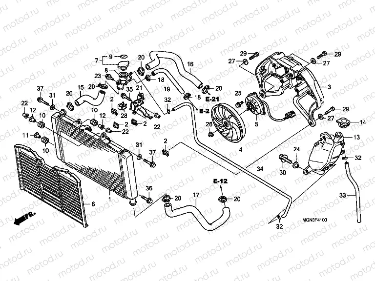 F-41 RADIATOR