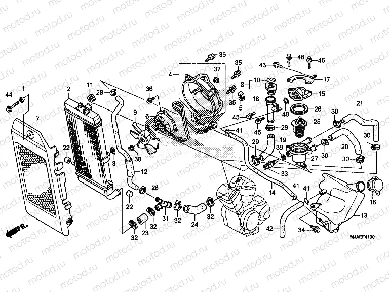 F-41 RADIATOR (VT750CS / C2B / C2S / C)