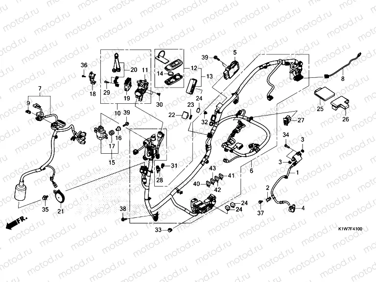 F-41 WIRE HARNESS