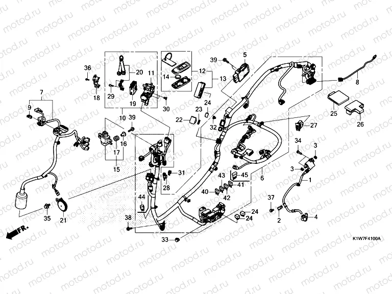 F-41 WIRE HARNESS