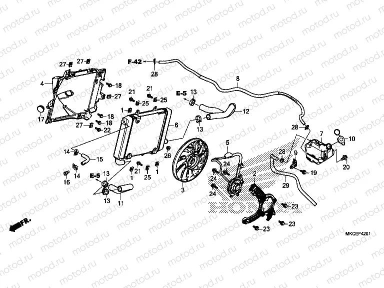F-42-1 RADIATOR (L.)