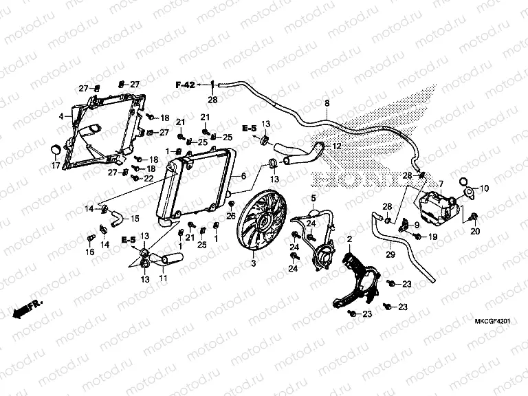 F-42-1 RADIATOR (L.)