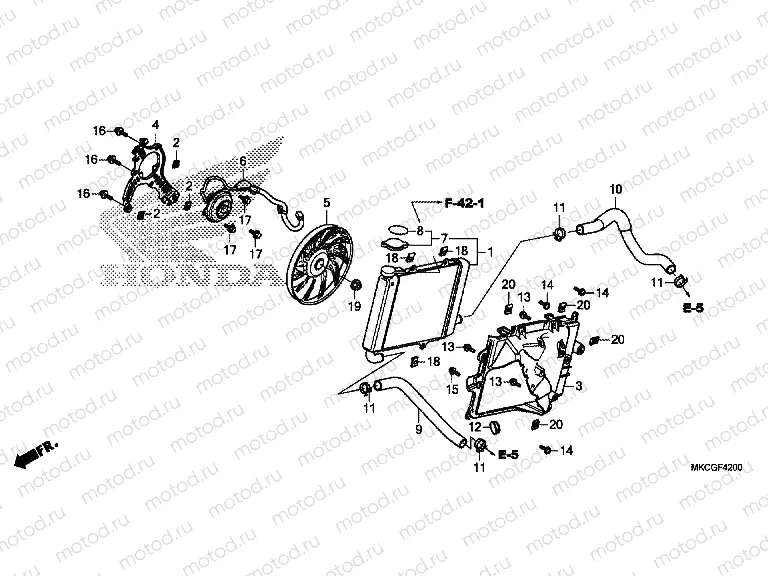 F-42 RADIATOR (R.)