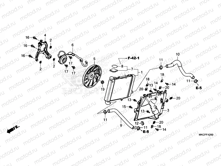 F-42 RADIATOR  R.