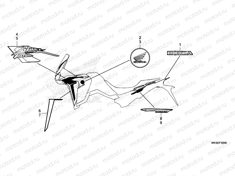 F-50 MARK & STRIPE NHA86