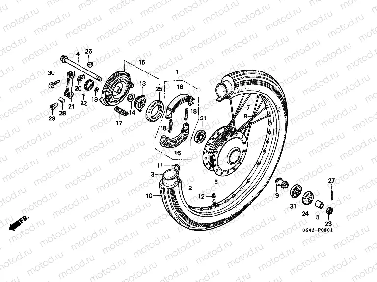 F-8-1 FRONT WHEEL / PANEL (C50LAG / G / J / N / SN)