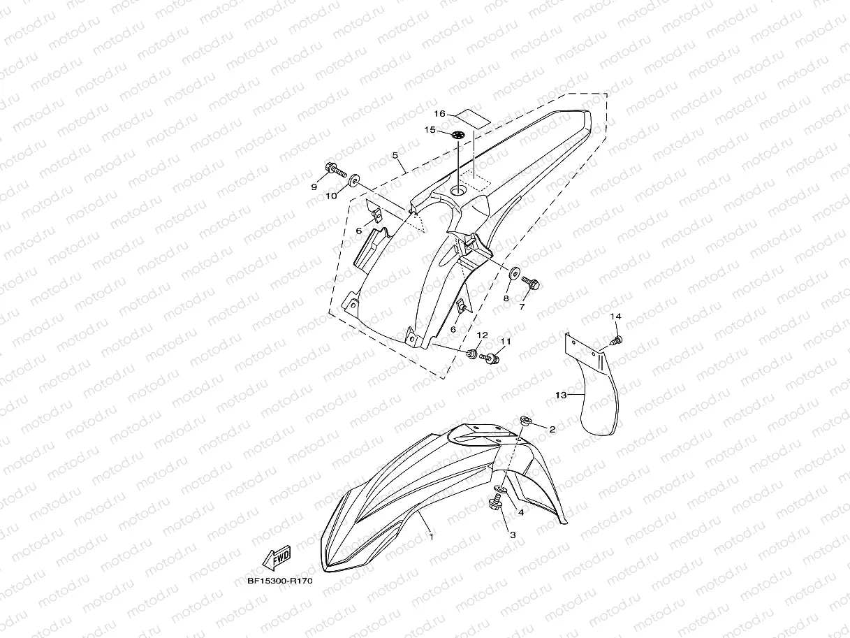 FENDER