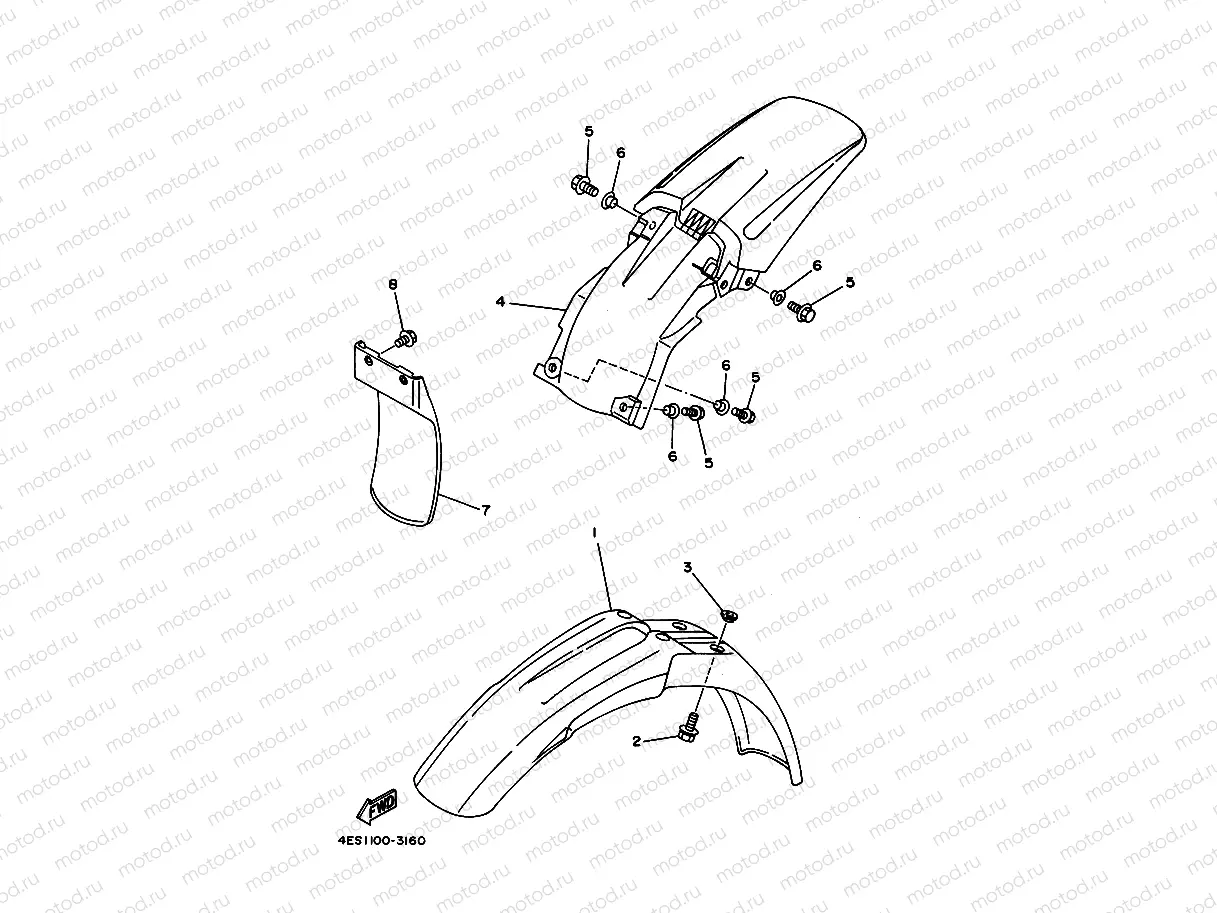 FENDER