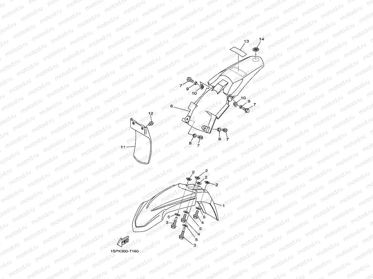 FENDER
