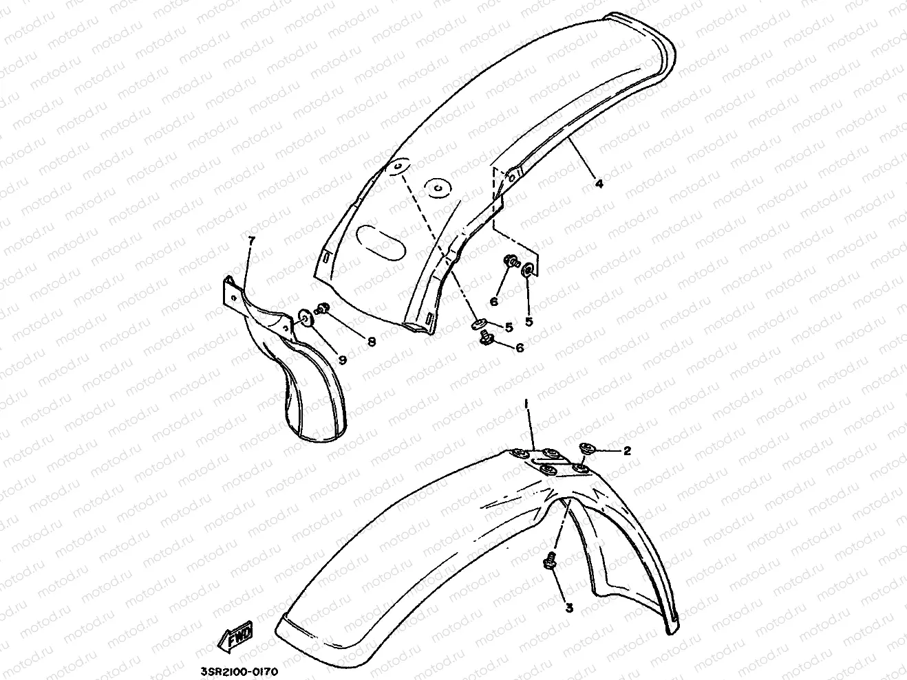 FENDER