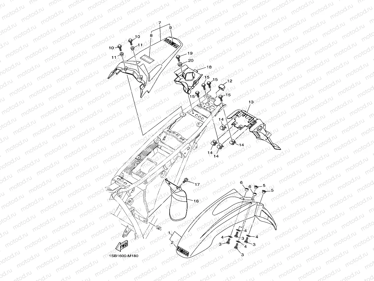 FENDER