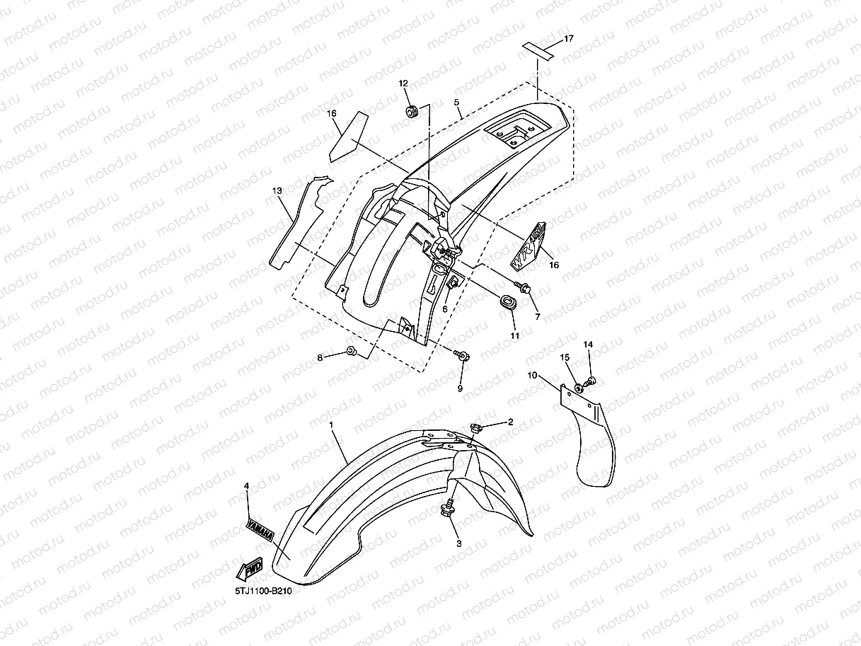FENDER