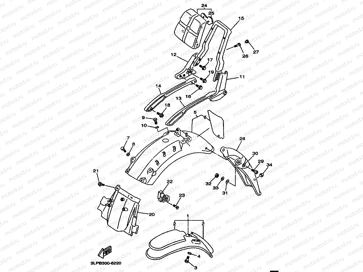 FENDER