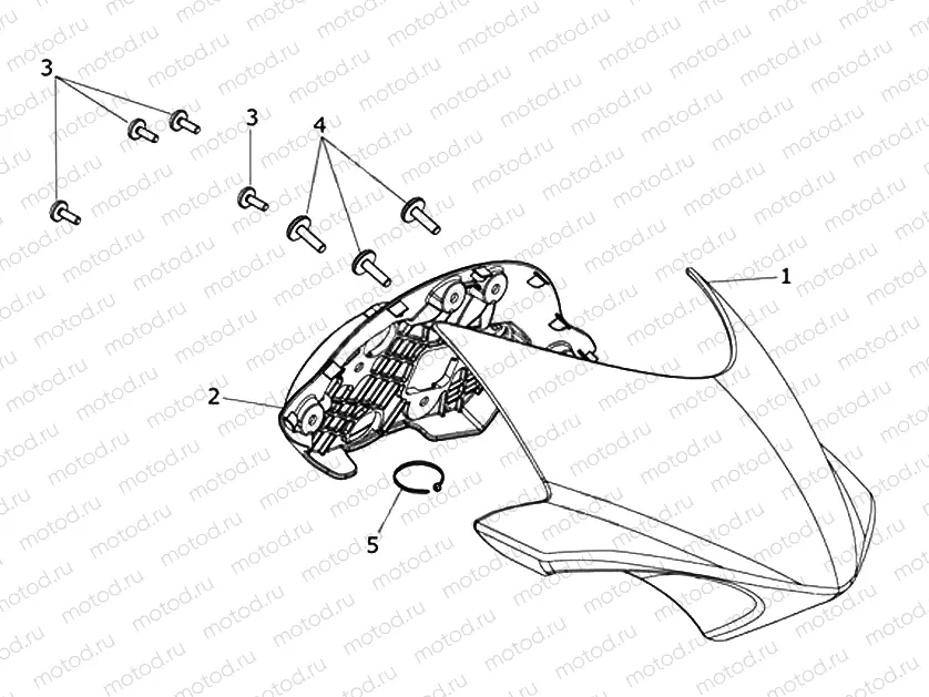 Flyscreen
