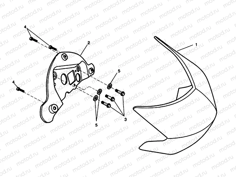 Flyscreen Special Edition