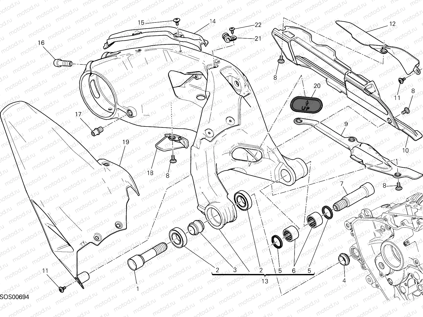 FORCELLONE POSTERIORE [MOD:1299]