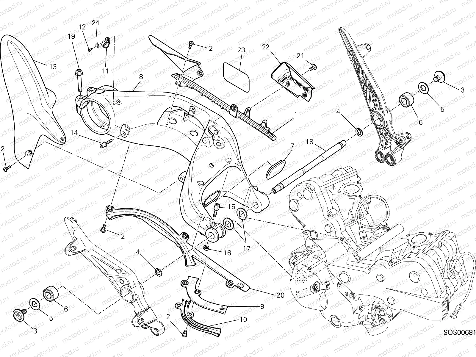FORCELLONE POSTERIORE [MOD:HYM-SP;XST:AUS]