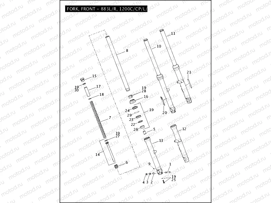 FORK, FRONT - 883L/R, 1200C/CP/L/X
