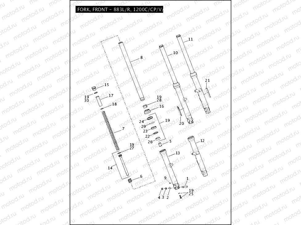 FORK, FRONT - 883L/R, 1200C/CP/V/X